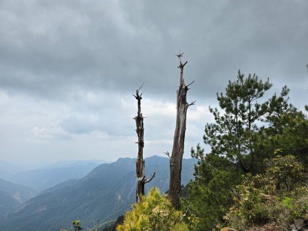 終於看到1000元背面的山景登頂玉山北峰／前峰2495840