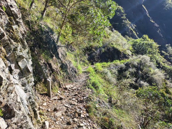 [玉山尋寶任務-07/12] 2025_0824 八通關雲龍瀑布步道2870643