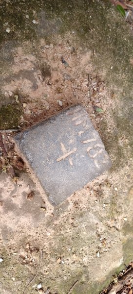 2024/12/28-蓮華山古道群：飛龍步道、進香古道、採茶古道、載熙古道2678901