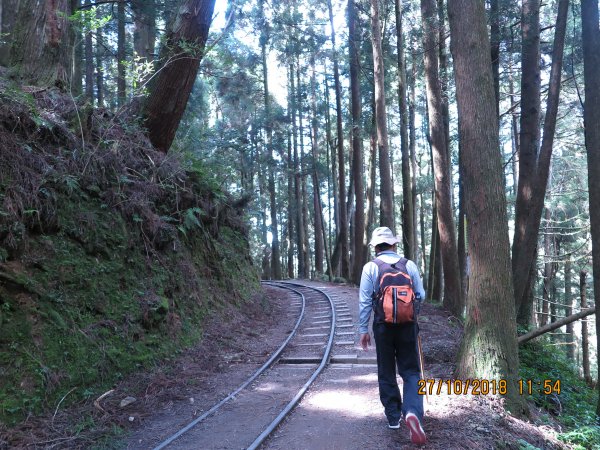 特富野古道449274