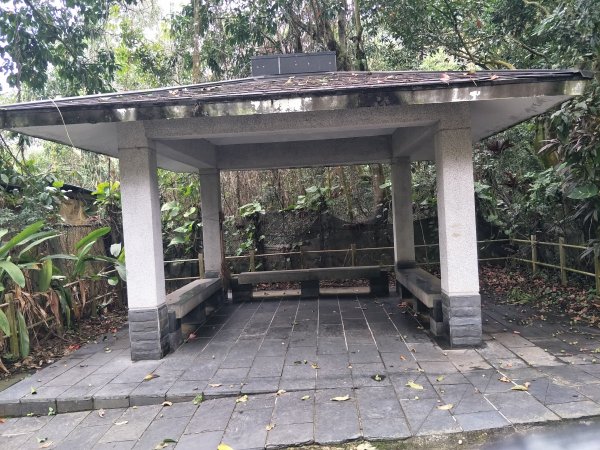 彰化百大：松柏嶺登廟步道1590372