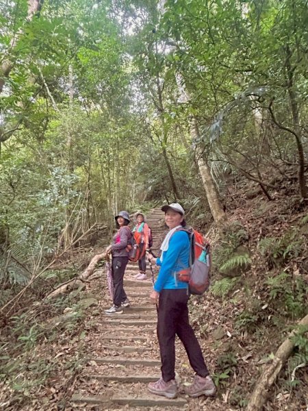 鳴鳳山古道群走鳴鳳山 三湖山吃仙草冰2923266