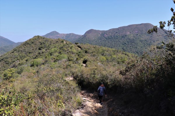 HK - 長山、太墩1457997