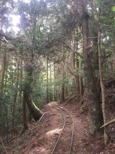 無名山、大坪山、加里山8字走、雲海看到飽1924751