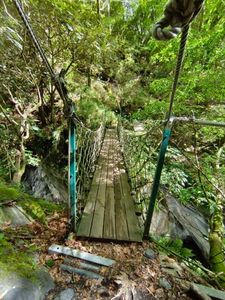 兩颱風之間空擋登屏風山巧遇保育類動物+出大景2237831