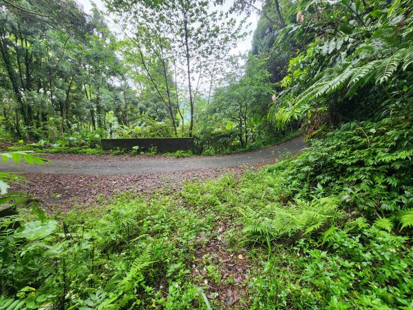 20250427大山背山田寮山毬子山騎龍山2933640