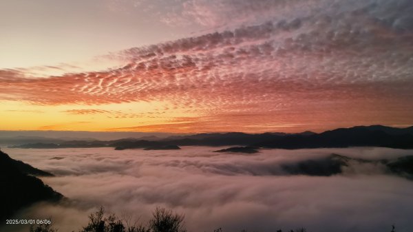 翡翠水庫壩頂 #曙光 #日出 #火燒雲 #斜射光(上帝光) #雲海 3/12722443