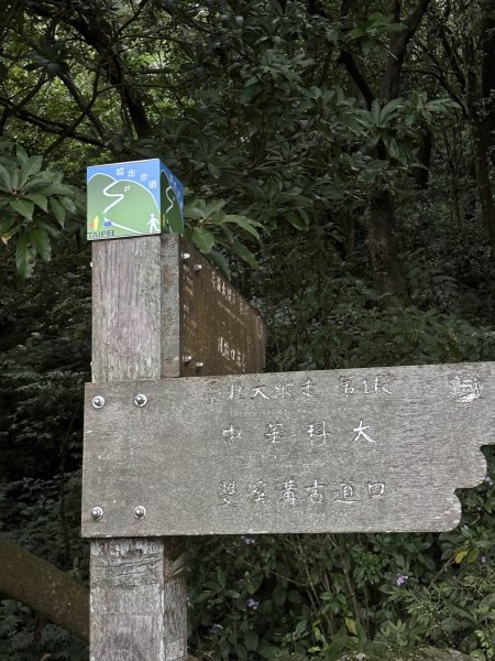 陽明山東西大縱走-東段2984510