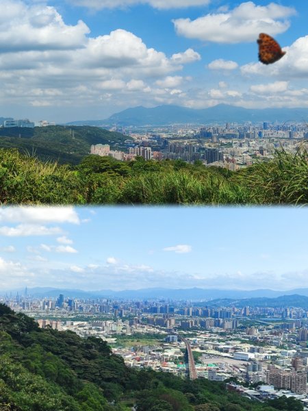 福迴縱走3135521