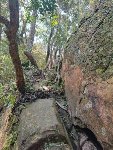 那結山（嘎色鬧部落線）893449