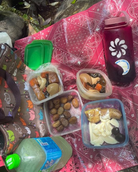 坪林-碧湖溪-蛋糕瀑布群（溯溪）2820904