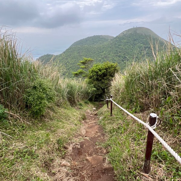 4/12台北大縱走第二段小油坑到二子坪2763657