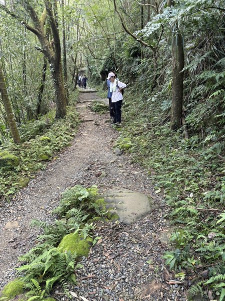 20250830台南關仔嶺大凍山步道2914694