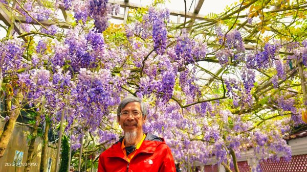 追花是簡單的快樂，賞花是恬淡的幸褔 4/32751459