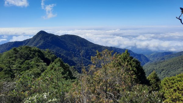 《台中》鳶嘴雲瀑｜鳶嘴山登山步道O繞202212041938450