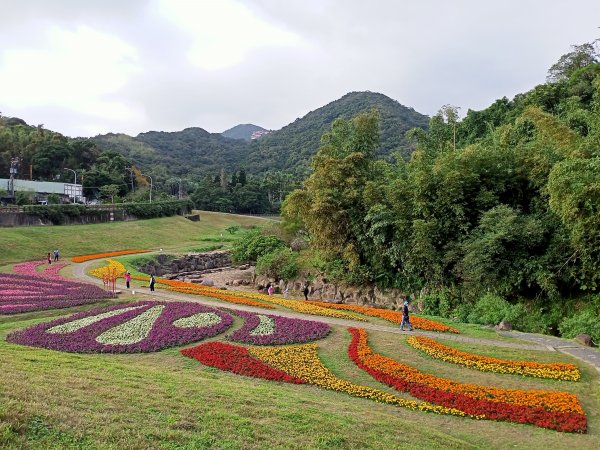 【臺北大縱走 4】【南山神壽任務尋寶趣】美拍花團錦簇的大溝溪溪畔步道1574060