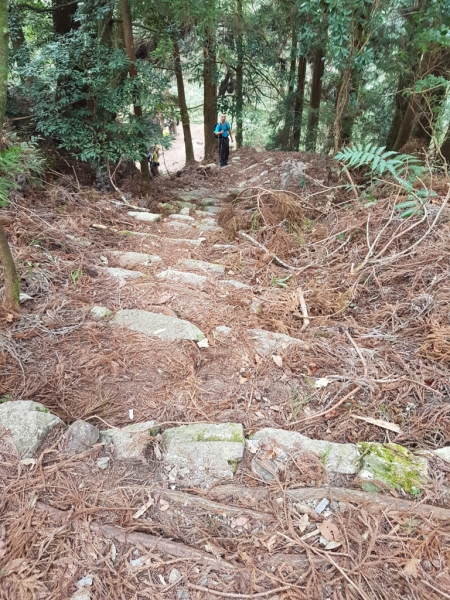 馬崙山散漫遊71241