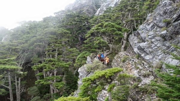 台灣最經典的高山縱走路線-武陵四秀二日行61178