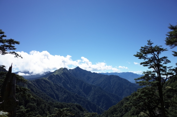 奇萊南峰＆南華山 73594