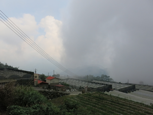 漫步在雲端～二延平霧之道雙拼56033