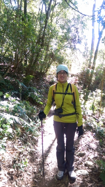 登山初體驗之谷關七雄-東卯山69597