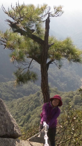 鳶嘴山稍來山國家步道71416