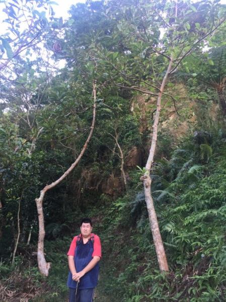 2016/11/13 福州山連走中埔山72288