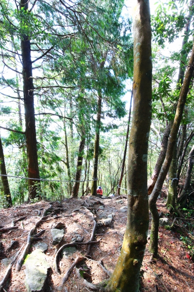 鳶嘴山，俯瞰西海岸，遠望玉山秀姑巒58062