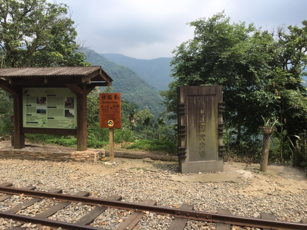 與森林小火車相依的獨立山步道56909