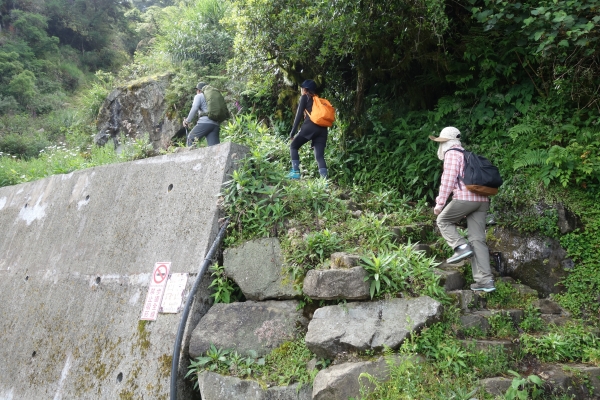 鹿林山與麟趾山O型走    來去賞玉山57984