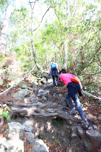 鳶嘴山，俯瞰西海岸，遠望玉山秀姑巒58064