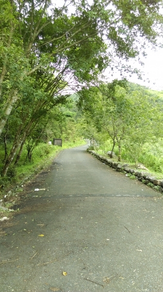 宜蘭大同鄉:九寮溪歩道105.07.1055806