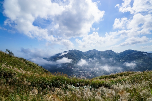 雷霆峰 - 芒花季70288