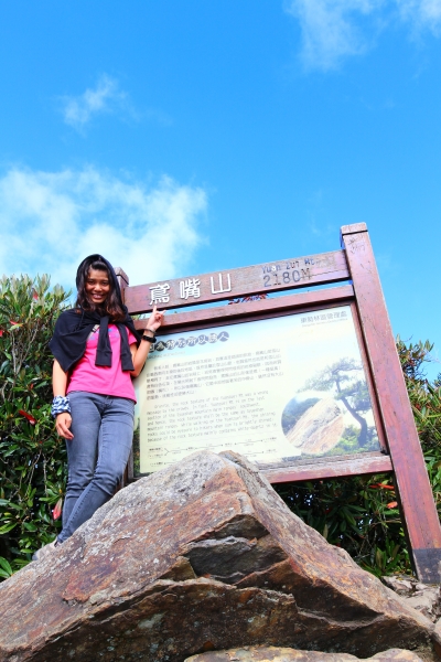 鳶嘴山，俯瞰西海岸，遠望玉山秀姑巒58057