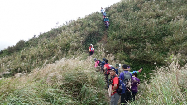 悠遊黃金三稜，金瓜石最經典賞芒之旅70151