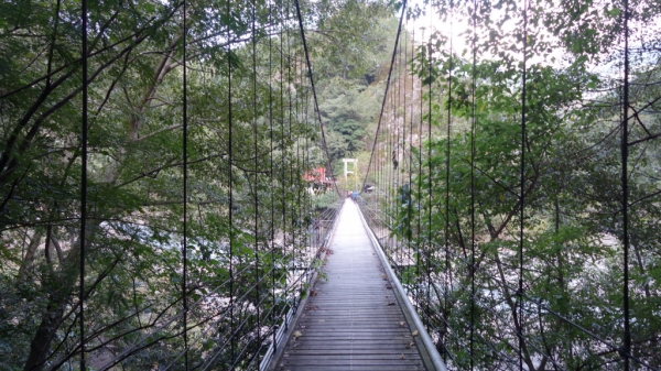 百岳志佳陽大山一日單登67750