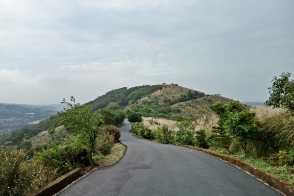 桃園│楊梅秀才登山步道│賞秋芒72337