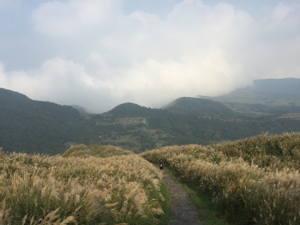 陽明山冷水坑至小油坑70363