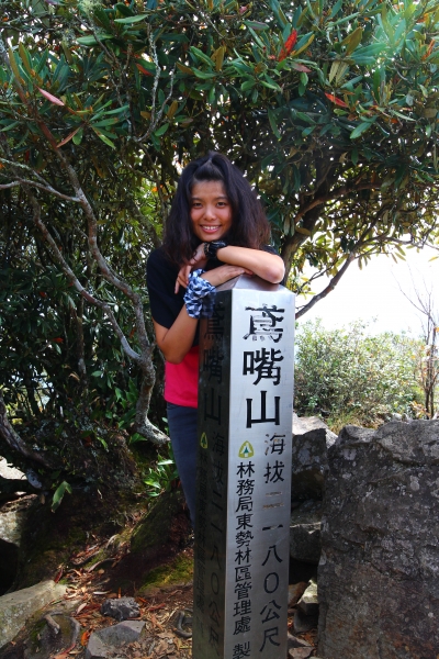 鳶嘴山，俯瞰西海岸，遠望玉山秀姑巒58054