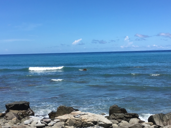 令人流連忘返的沿太平洋海岸古道-阿塱壹56878