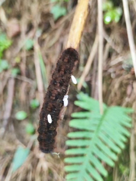 南湖群峰五天四夜2871884