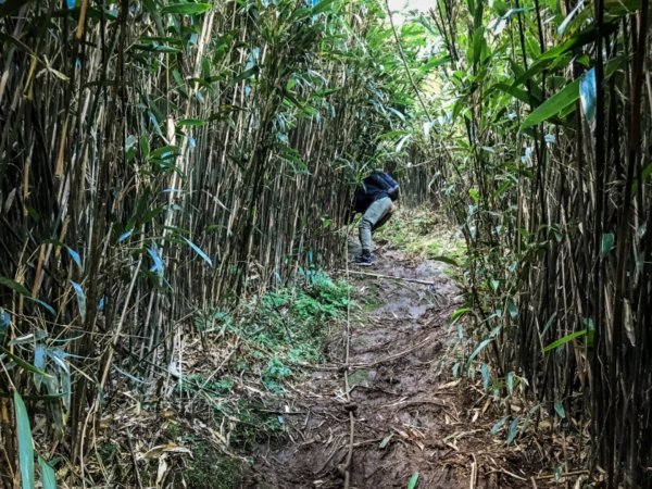 小觀音山群峰474912