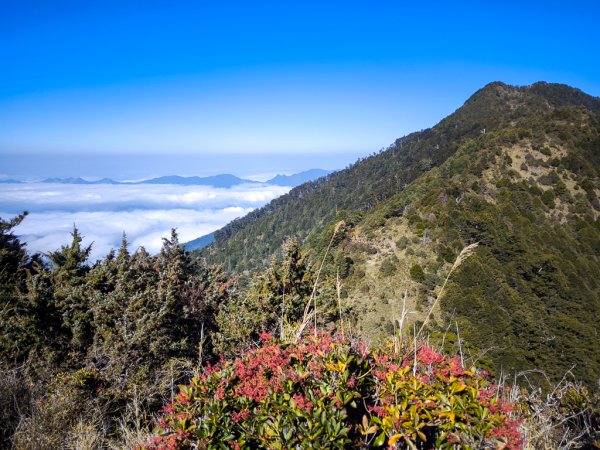 2026-02-09 庫哈諾辛山2998906