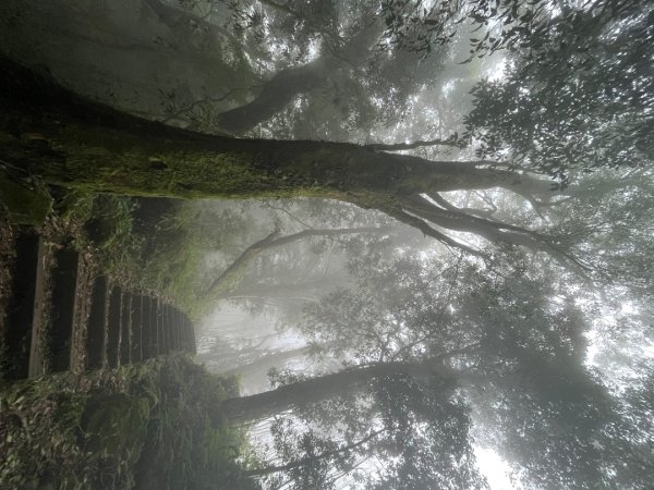 20230924_大湖尖山、大凍山（嘉義縣小百岳）2762748