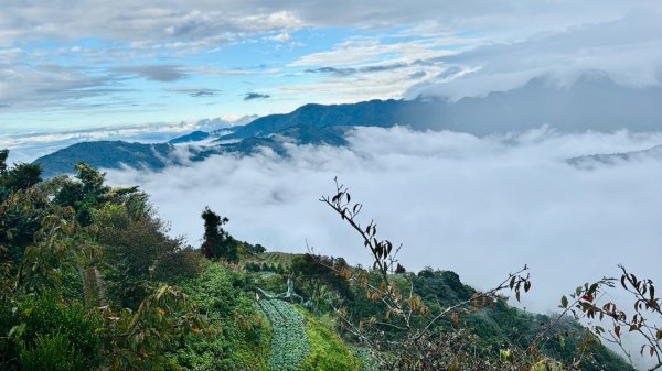 觀霧瀑布 賞鳥步道2926766