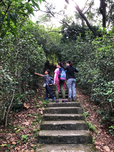 鐵砧山登山步道397597