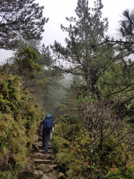 嘉明湖、向陽山三叉山（百岳×19、20）1071415