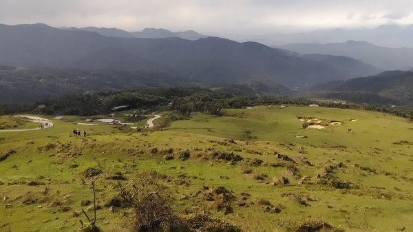 2019 3/2 草嶺古道 桃源谷853686