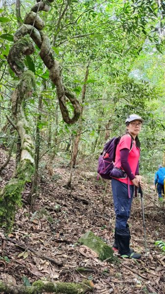 唐穗山11408162860931