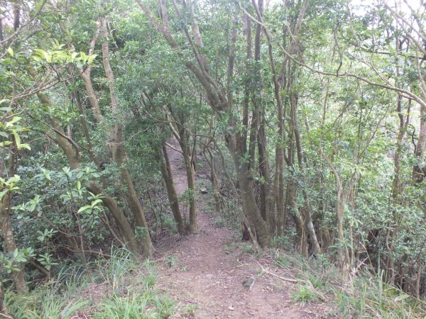 百二階古道+苕谷瀑布+逸仙山+泰和樓2734468